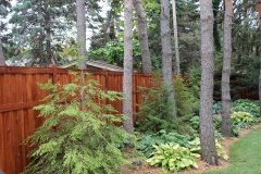 Fence after Stained by Bright Services