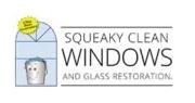 Squeaky Clean Windows Dallas.JPG