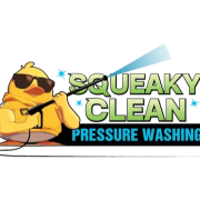 Squeaky-Clean-pressure